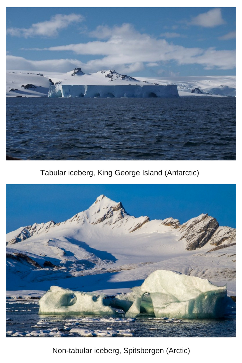 Iceberg vs. Ice Floe: What's The Difference? – Nayturr