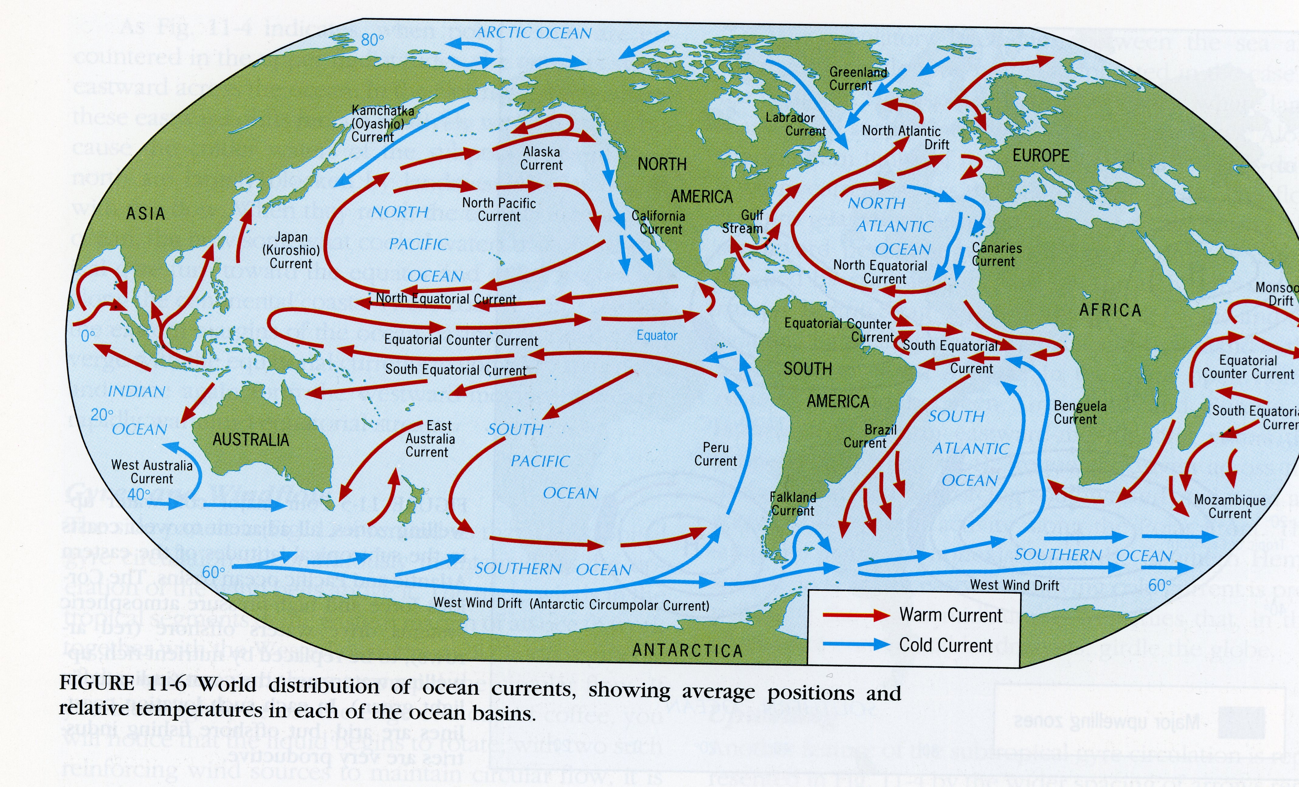 Страны омывающиеся водами холодного течения. Карта течений мирового океана. Схема циркуляции вод мирового океана. Карта всех течений мирового океана. Морские течения.